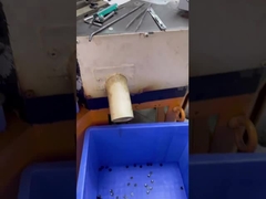 শার্ট পোশাক আনুষাঙ্গিক উপর 18L ব্যবহার সঙ্গে 5 স্তর শার্ট বোতাম